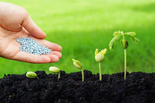 fertilizers fertilizers